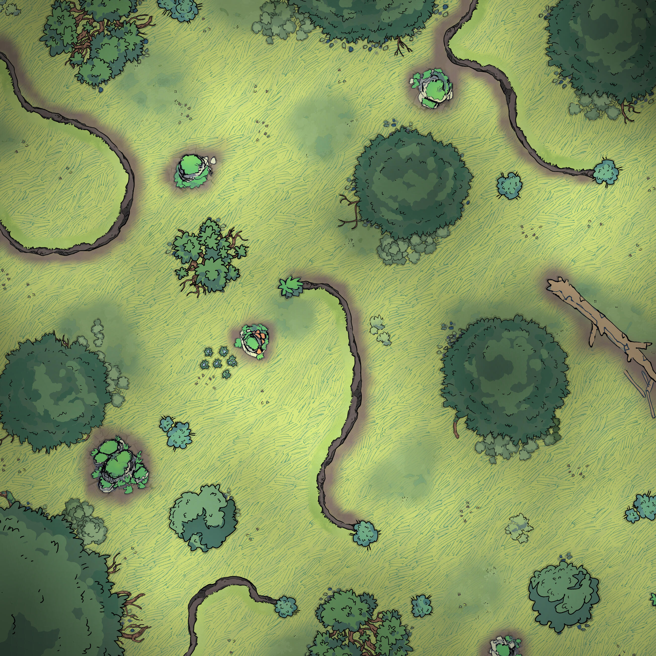 Forest Blueberries